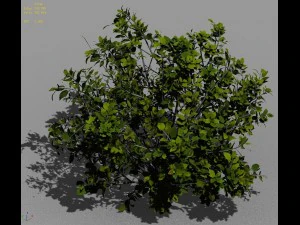 journey to the west - shrubs 02 3D Model