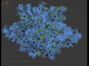 journey to the west - shrub 03 3Dモデル