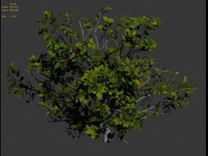 journey to the west - shrub 03 3Dモデル