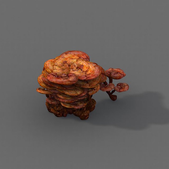 journey to the west - ganoderma lucidum Modelo 3D .c4d .max .obj .3ds .fbx .stl .blend 