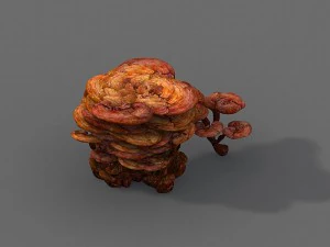 подорож на захід - ganoderma lucidum 3D Модель