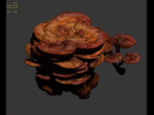 journey to the west - ganoderma lucidum Modelo 3D