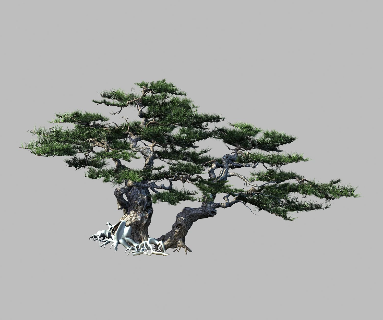 journey to the west - putuo mountain - pine 01 3D Model .c4d .max .obj .3ds .fbx .stl .blend 