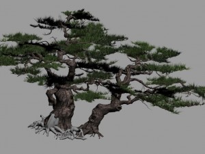 journey to the west - putuo mountain - pine 01 3D 模型