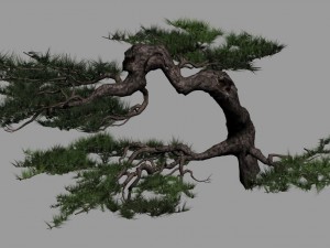 journey to the west - putuo mountain - pine 02 3D मॉडल