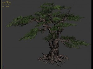 journey to the west - putuoshan - pine 03 3D-Modell