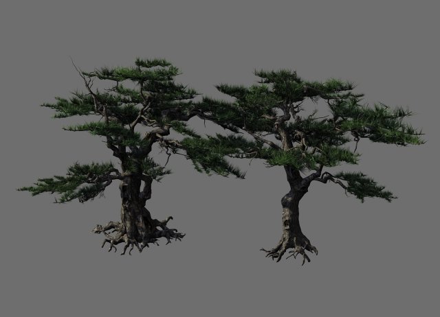 journey to the west - putuo mountain - pine 04 3D 模型 .c4d .max .obj .3ds .fbx .stl .blend 