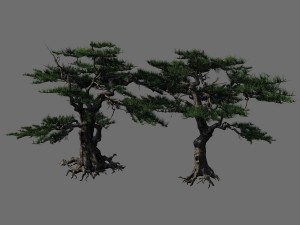 journey to the west - putuo mountain - pine 04 Modelo 3D