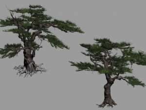 journey to the west - putuo mountain - pine 04 3D 模型