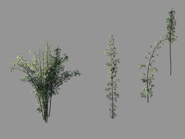 journey to the west - putuoshan - bamboo 02 Model 3D .c4d .max .obj .3ds .fbx .stl .blend