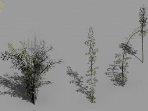 journey to the west - putuoshan - bamboo 02 Model 3D