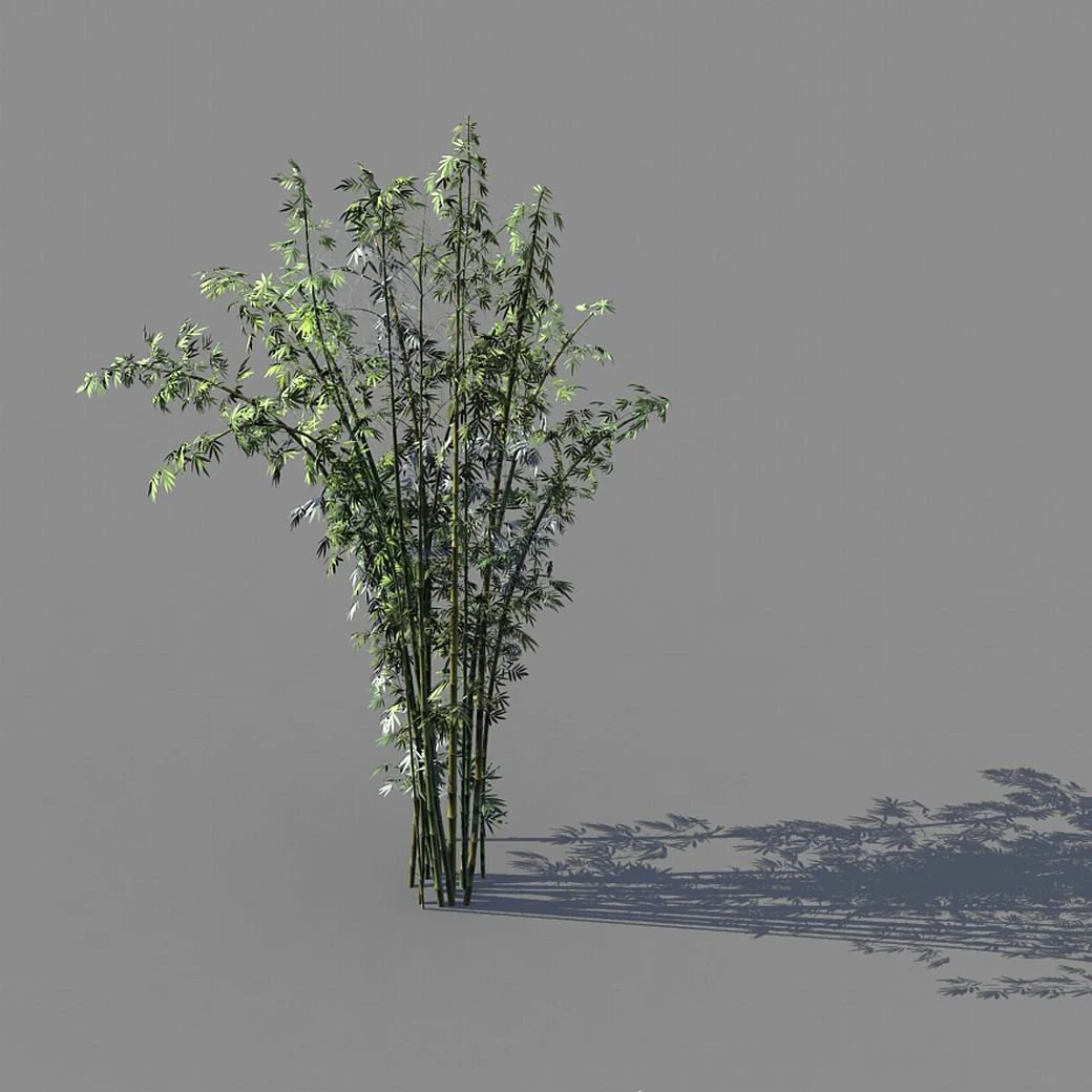 journey to the west - putuoshan - bamboo 03 3D Model .c4d .max .obj .3ds .fbx .stl .blend
