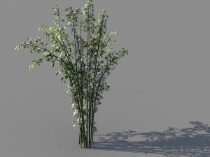 journey to the west - putuoshan - bamboo 03 3D मॉडल