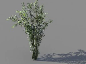 путешествие на запад &ndash; Путошань &ndash; бамбук 03 3D Модель