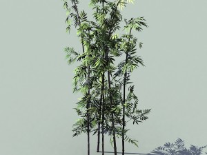 journey to the west - putuoshan - bamboo 09 3D Model