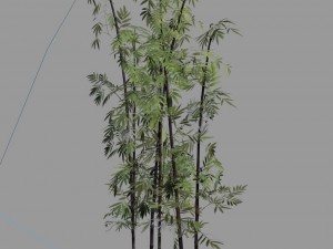 journey to the west - putuoshan - bamboo 09 Modelo 3D
