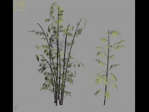 journey to the west - putuoshan - bamboo 010 3D Model