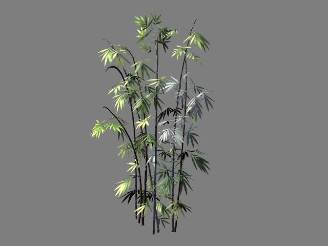journey to the west - putuoshan - bamboo 011 3D Model .c4d .max .obj .3ds .fbx .stl .blend 