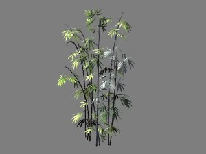 西遊記 - 普陀山 - 竹011 3Dモデル