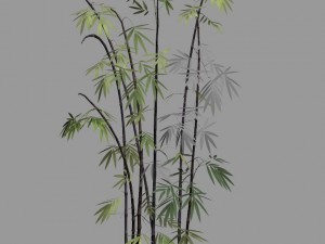 journey to the west - putuoshan - bamboo 011 3D Model