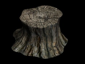 journey to the west - stump 01 3D Model