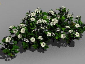 journey to the west - gardenia 01 3D Model
