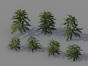 journey to the west - bamboo shrubs 02 3D Model