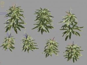 journey to the west - bamboo shrubs 02 3D Model