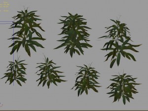 journey to the west - bamboo shrubs 02 3D Model