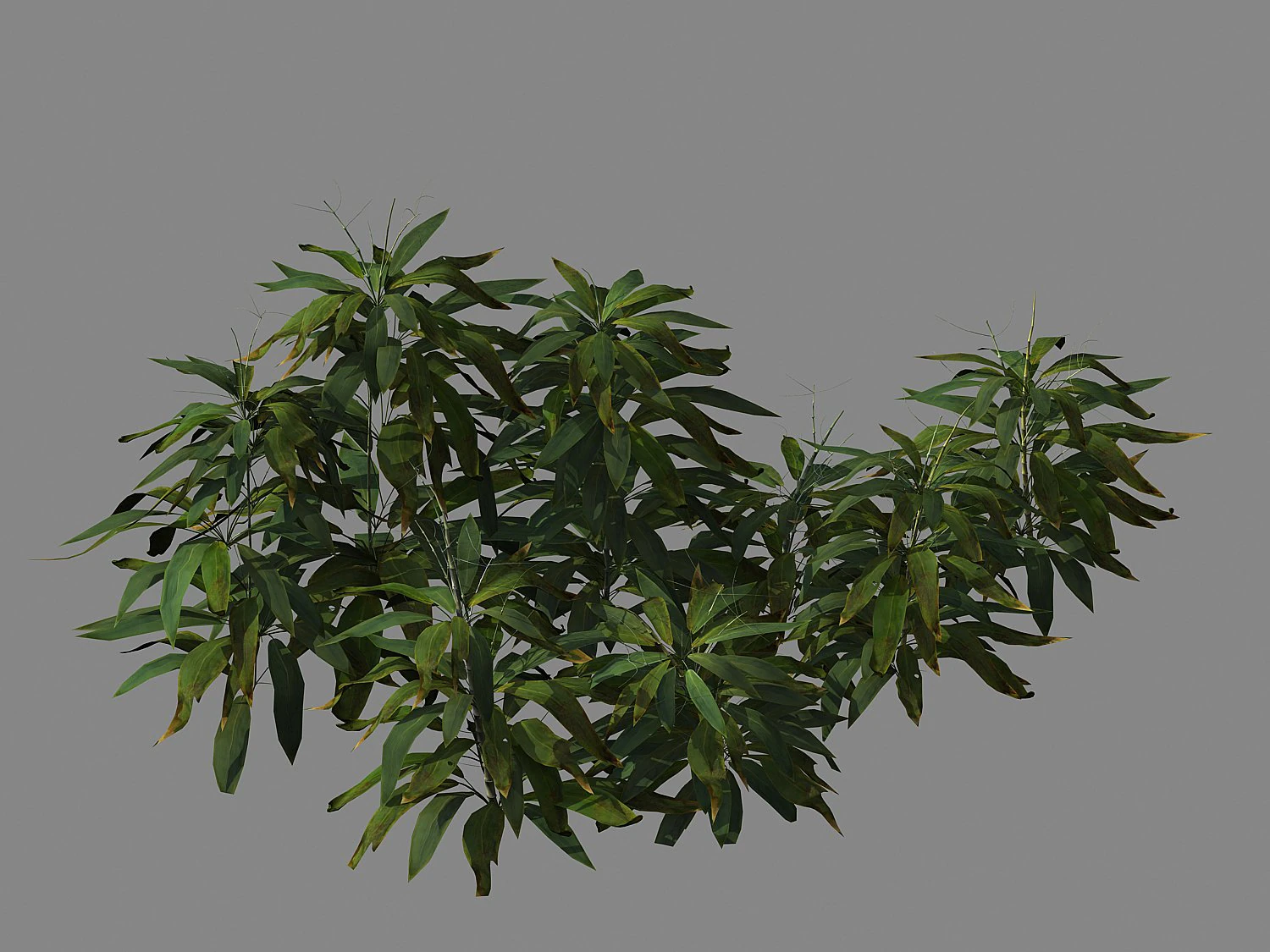 journey to the west - bamboo shrub 03 3D Model .c4d .max .obj .3ds .fbx .stl .blend 