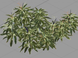 journey to the west - bamboo shrub 03 3D 模型
