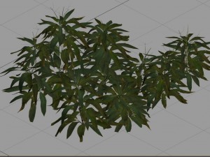 journey to the west - bamboo shrub 03 3D 模型