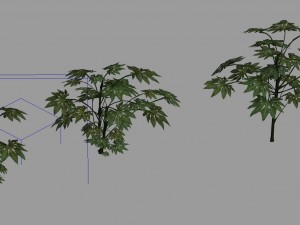 journey to the west - bamboo grove 04 Model 3D