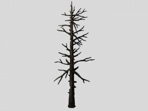 vampire sinnar - мертве дерево 1001 3D Модель