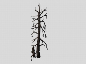 vampire sinnar - dead tree 1001 3D Model