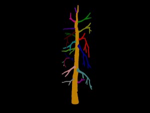 vampire sinnar - dead tree 1001 3D Model