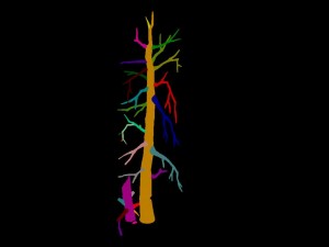 vampire sinnar - dead tree 1001 3D Model