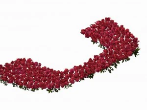 зона воїнів вампірів - квітник 01 3D Модель