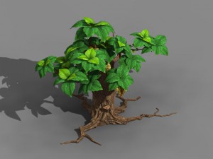koike town - plant 02 3D Model