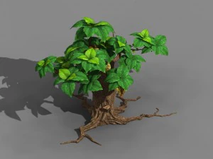 koike town - plant 02 3D Model