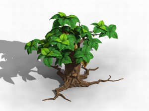 koike town - plant 02 3D Model