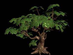 koike town - plant 03 3Dモデル