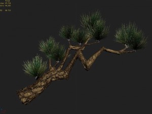 koike town - plants - pine 01 Modelo 3D