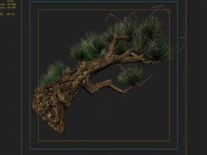 koike town - plant - pine 02 3D Model