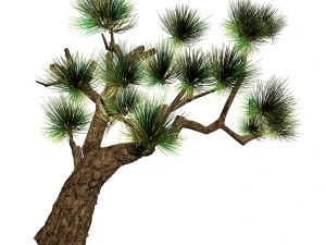 koike town - plants - pine 03 3D Model