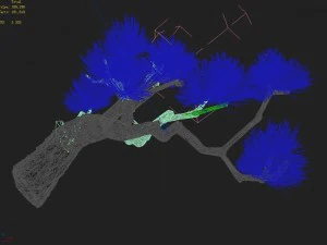koike town - plants - pine 03 3D Model