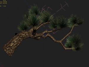koike town - plants - pine 03 Model 3D