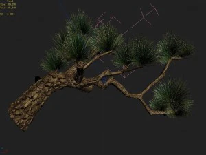 koike town - plants - pine 03 3D Model