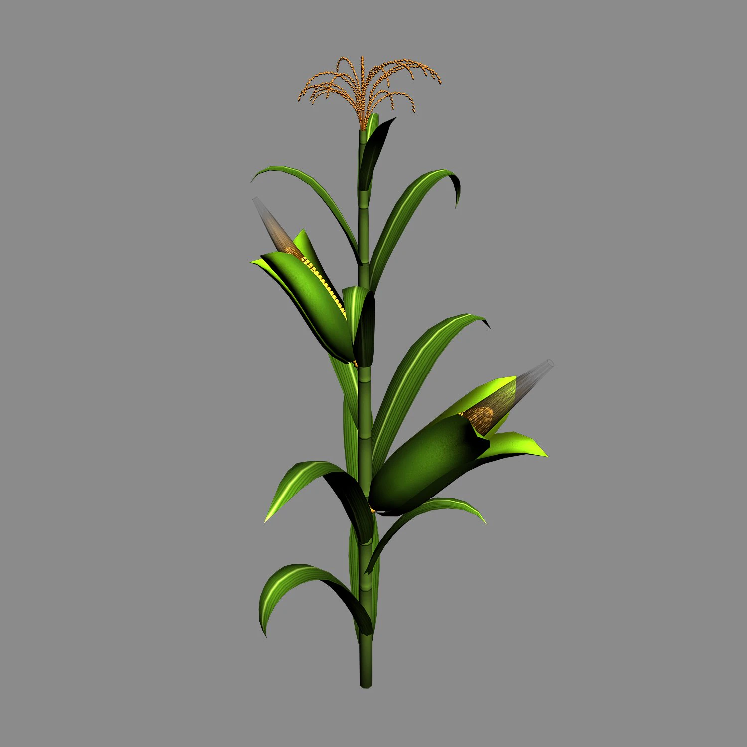 koike town - plant - corn 01 3D Model .c4d .max .obj .3ds .fbx .stl .blend 
