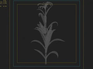 koike town - plant - corn 01 3D Model